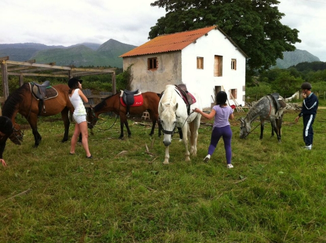 Preparando los caballos para la ruta